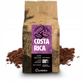 Costa Rica 250 mielona.png